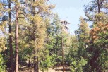photo thumbnail #12