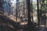 photo thumbnail #4