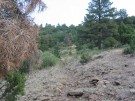 photo thumbnail #4