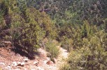 photo thumbnail #2