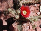 photo thumbnail #3
