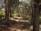 photo thumbnail #11