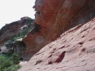 photo thumbnail #10