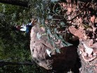 photo thumbnail #4