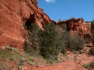 photo thumbnail #10