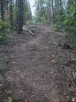 photo thumbnail #10
