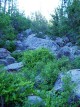 photo thumbnail #1