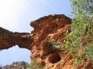 photo thumbnail #5
