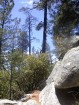photo thumbnail #6