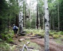 photo thumbnail #9