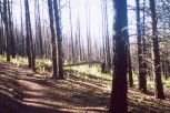 photo thumbnail #2