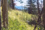 photo thumbnail #8