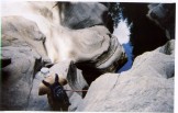 photo thumbnail #6