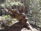 photo thumbnail #6