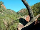 photo thumbnail #12