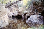 photo thumbnail #1