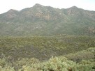 photo thumbnail #13