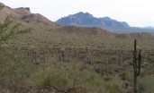 photo thumbnail #5