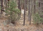 photo thumbnail #4