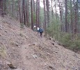 photo thumbnail #5