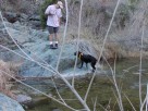 photo thumbnail #11