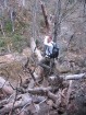 photo thumbnail #4