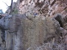 photo thumbnail #7