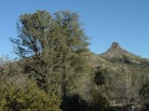 photo thumbnail #2