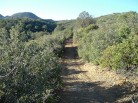 photo thumbnail #3