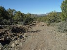 photo thumbnail #7