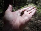 photo thumbnail #1