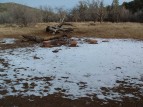 photo thumbnail #3