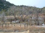 photo thumbnail #4