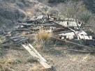 photo thumbnail #6