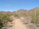 photo thumbnail #8