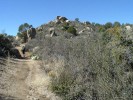 photo thumbnail #3