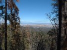photo thumbnail #3