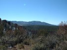photo thumbnail #9