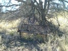 photo thumbnail #4