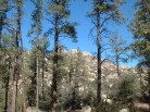 photo thumbnail #1