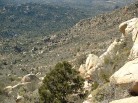 photo thumbnail #15