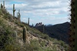 photo thumbnail #1