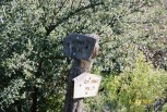 photo thumbnail #8