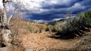 photo thumbnail #4