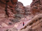 photo thumbnail #11