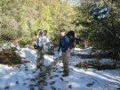 photo thumbnail #8
