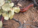 photo thumbnail #8
