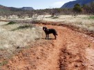photo thumbnail #3