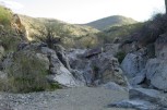 photo thumbnail #2