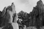 photo thumbnail #9